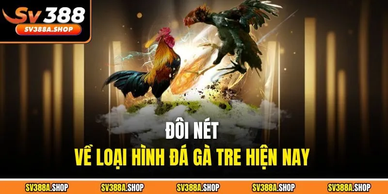 Đôi nét về loại hình đá gà tre hiện nay